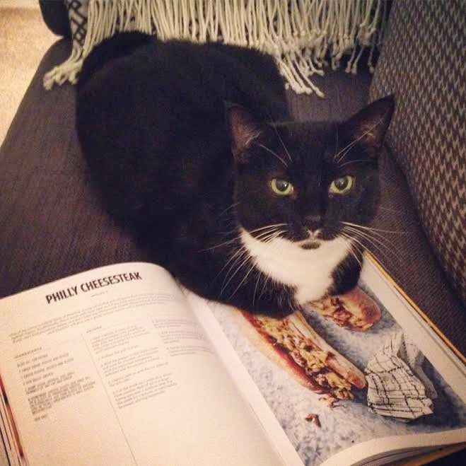 Luna Phillycheeselegs