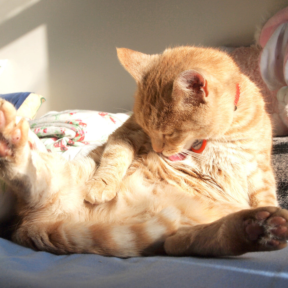 Precious practicing self care