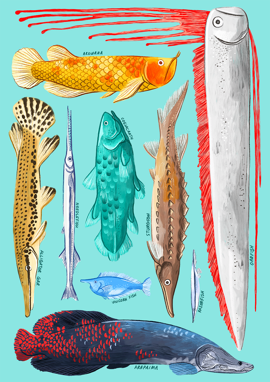 Really Cool Fish Natelle Quek Store