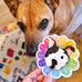 Rainbow Staffy Fundraiser Sticker